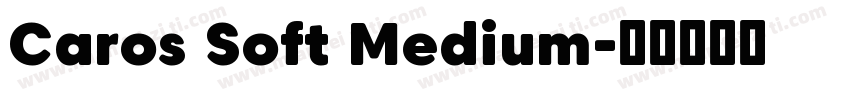 Caros Soft Medium字体转换